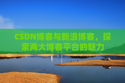 CSDN博客与新浪博客，探索两大博客平台的魅力
